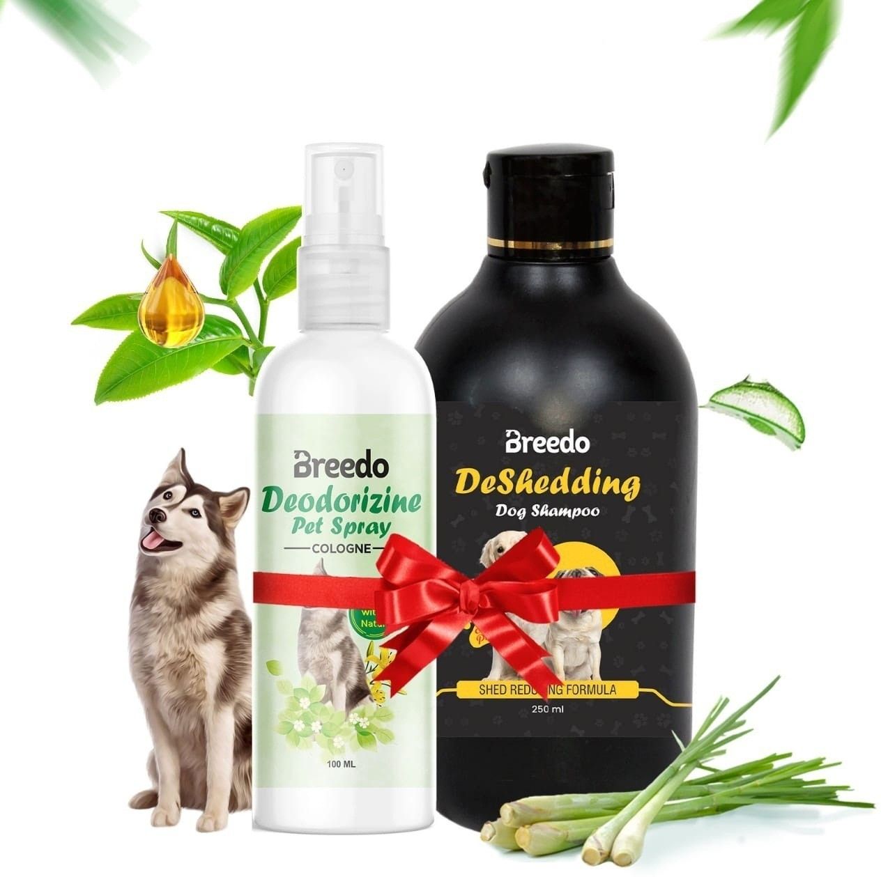 breedo (Pack of 2) Odor Dog Deodorizing Perfume Spray + Deshedding Shampoo Natural Cologne-picture-31