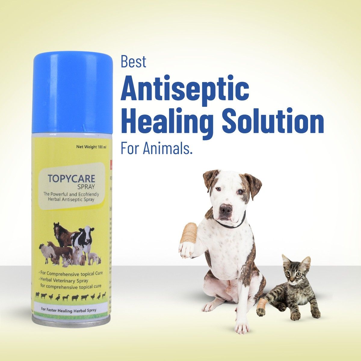 100ml Herbal Spray Pet First Aid Kit