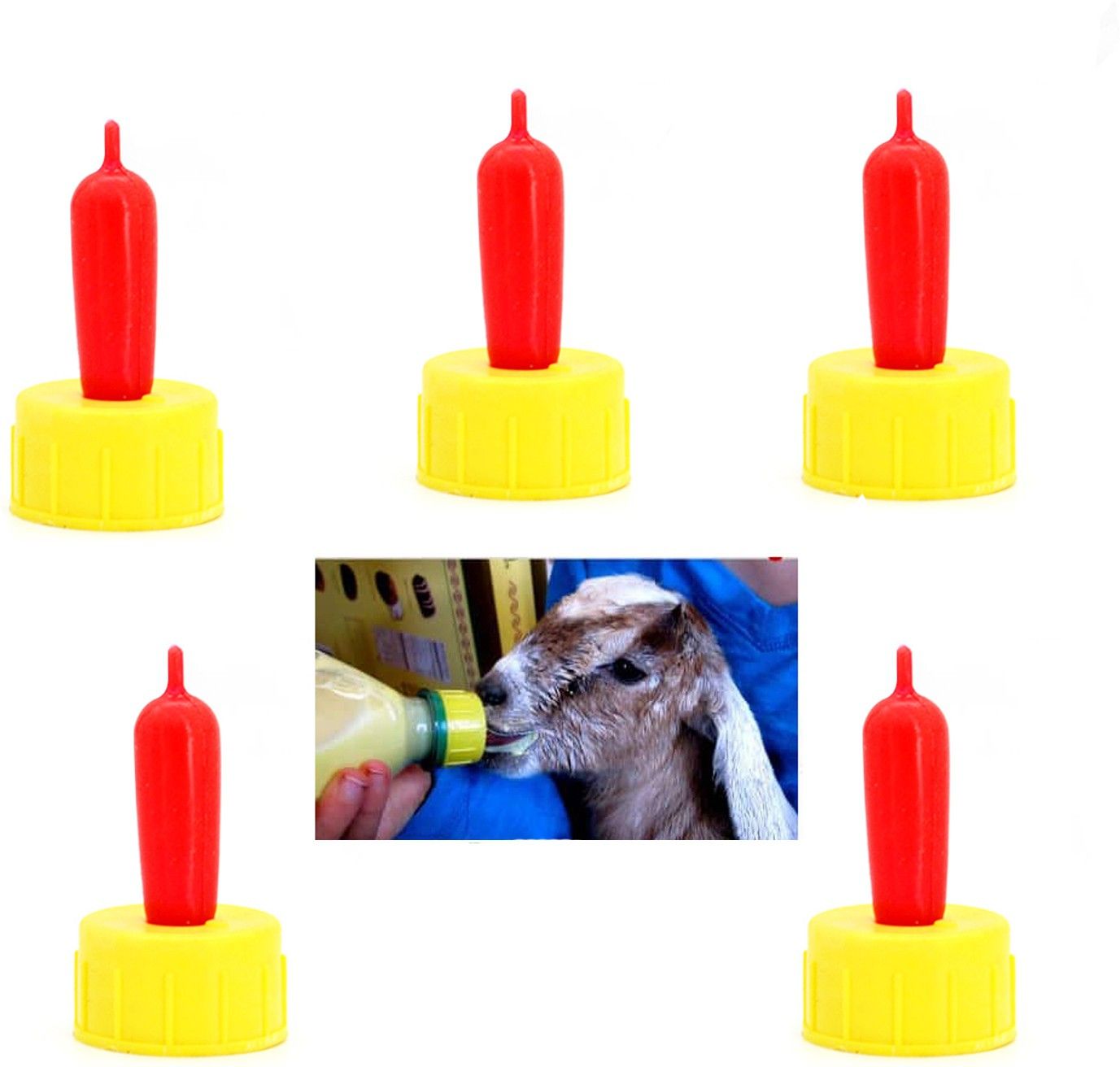 Bottle Topper Nipple for Goat, Puppy and Kittens,Set of 5 Nipples Pet Food Dispenser