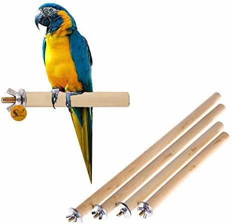 sage square Set of 4 Natural Habitat Wooden Perch/Stand/Toy for Birds(Sizes-4,6,8,10)(Combo) Wooden Perch, Training Aid, Stick For Bird-picture-37