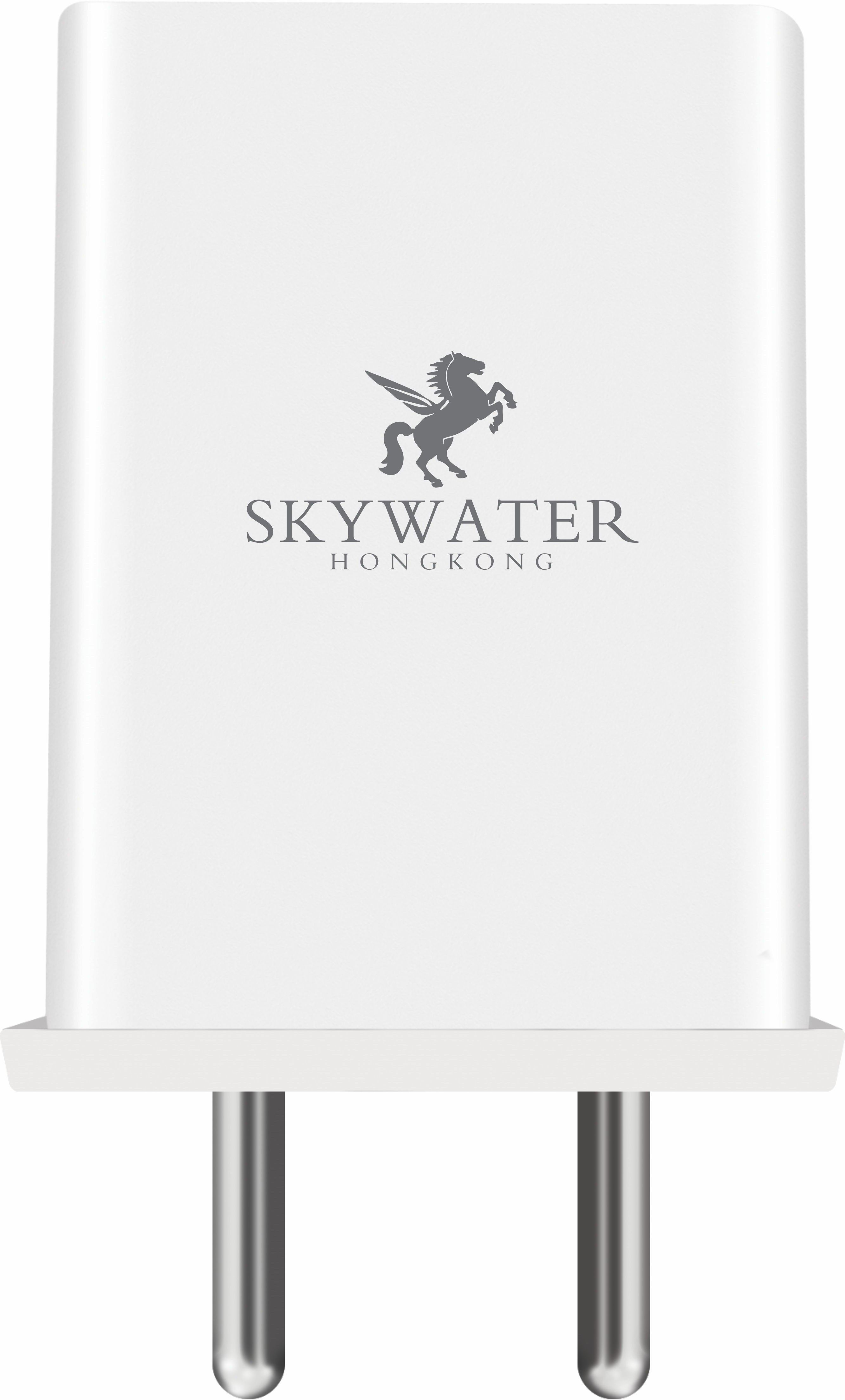 SKYWATER Wall Charger for Mobile