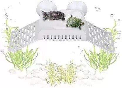 Basking Area/Stand Reptiles Platform Aquarium Tool-image-49