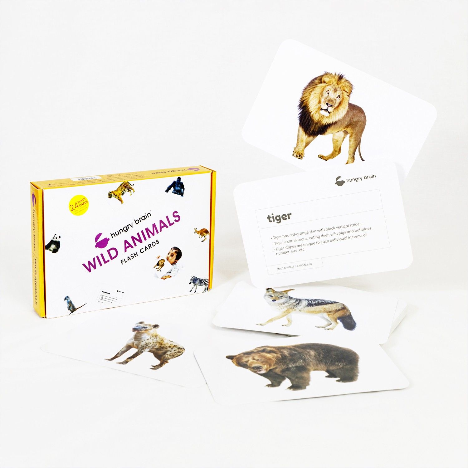 Wild Animals Flash Cards-image-12