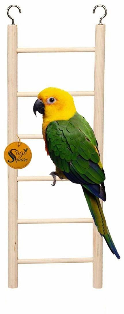 sage square Playful Natural Wood Climbing Ladder With Hooks Toy Birds, 6 Stairs / 30cm Wooden Stick, Training Aid, Perch For Bird-picture-37