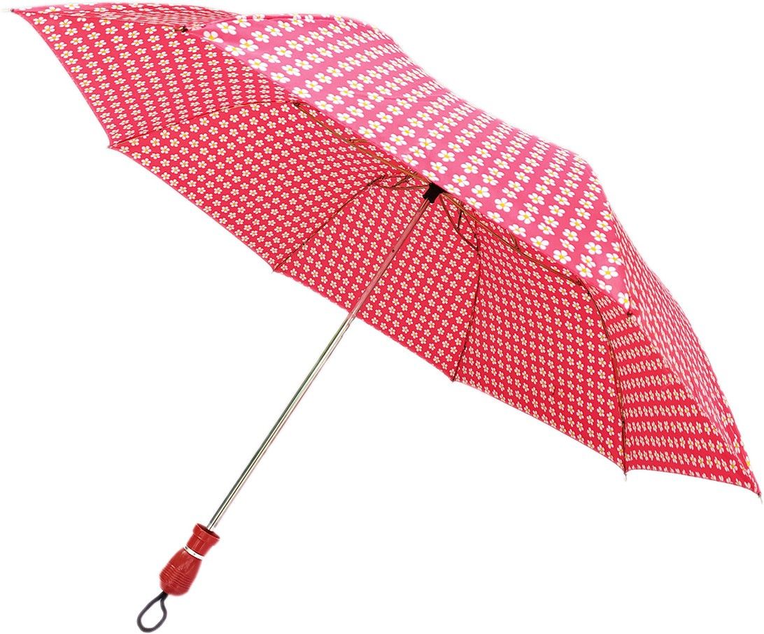 2 Fold Umbrella for Women and Men B17 Umbrella-image-36