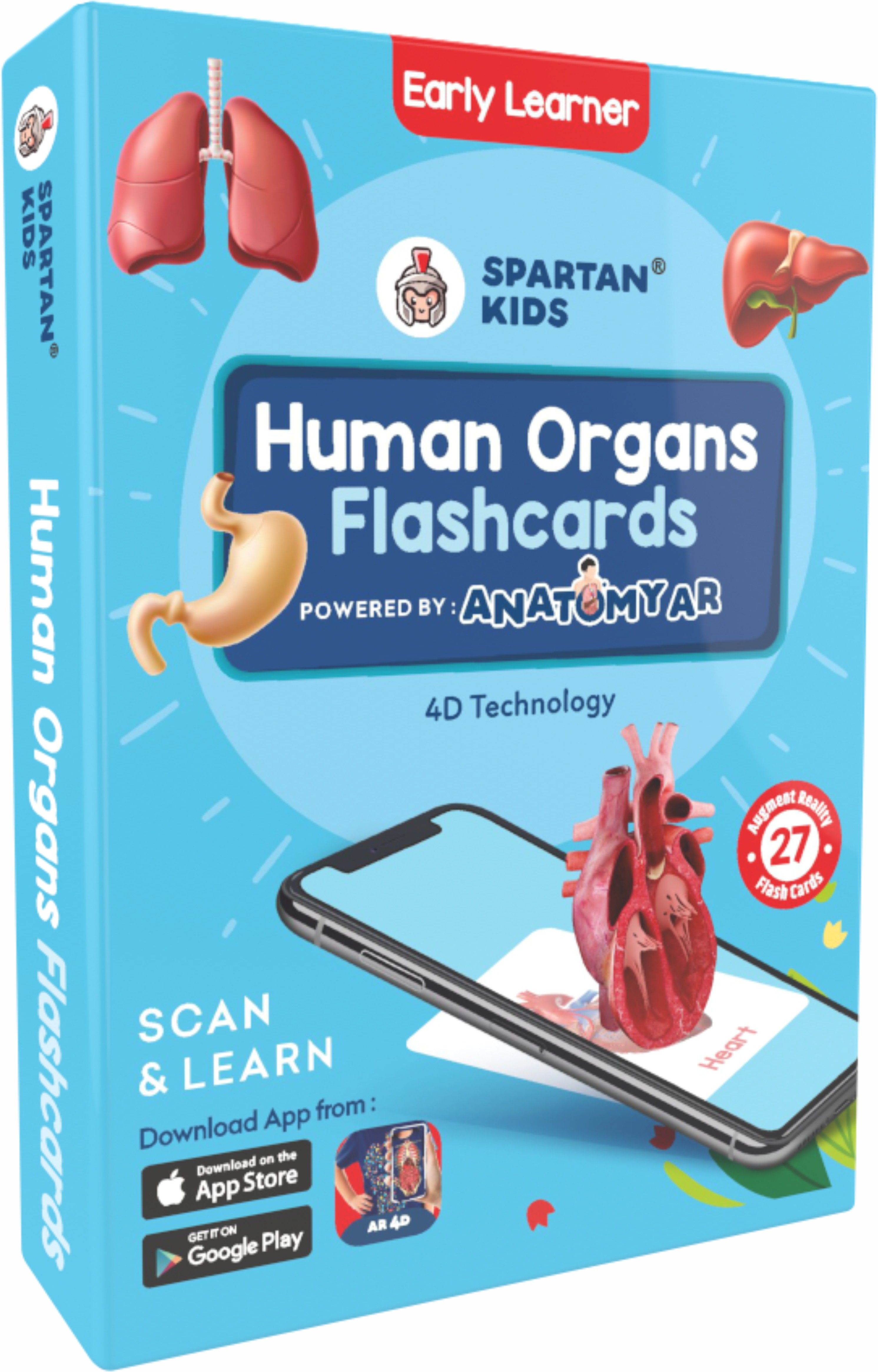 Human Organs Flash cards | Early Learning 4D Technology Flash Cards for Kids