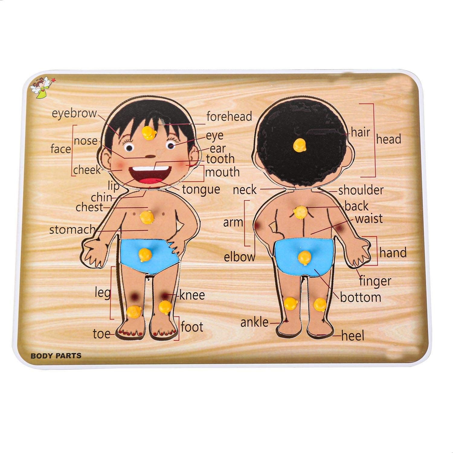 shalafi Human Parts Of Body Name Wooden Puzzle Board Game Blocks Learning Toy For kids-picture-26