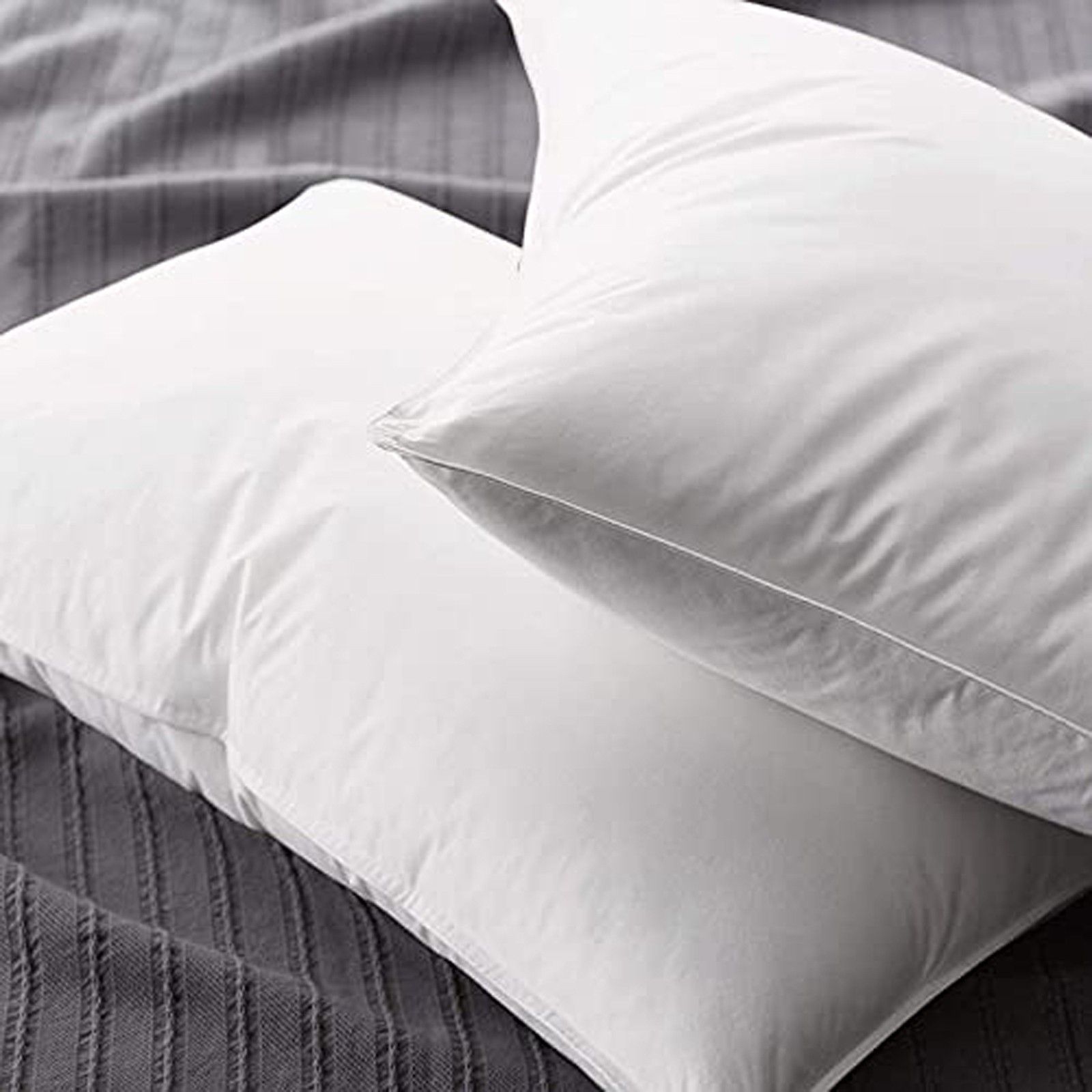 Cotton Sleeping Pillow Pack of 2 Solid-image-46