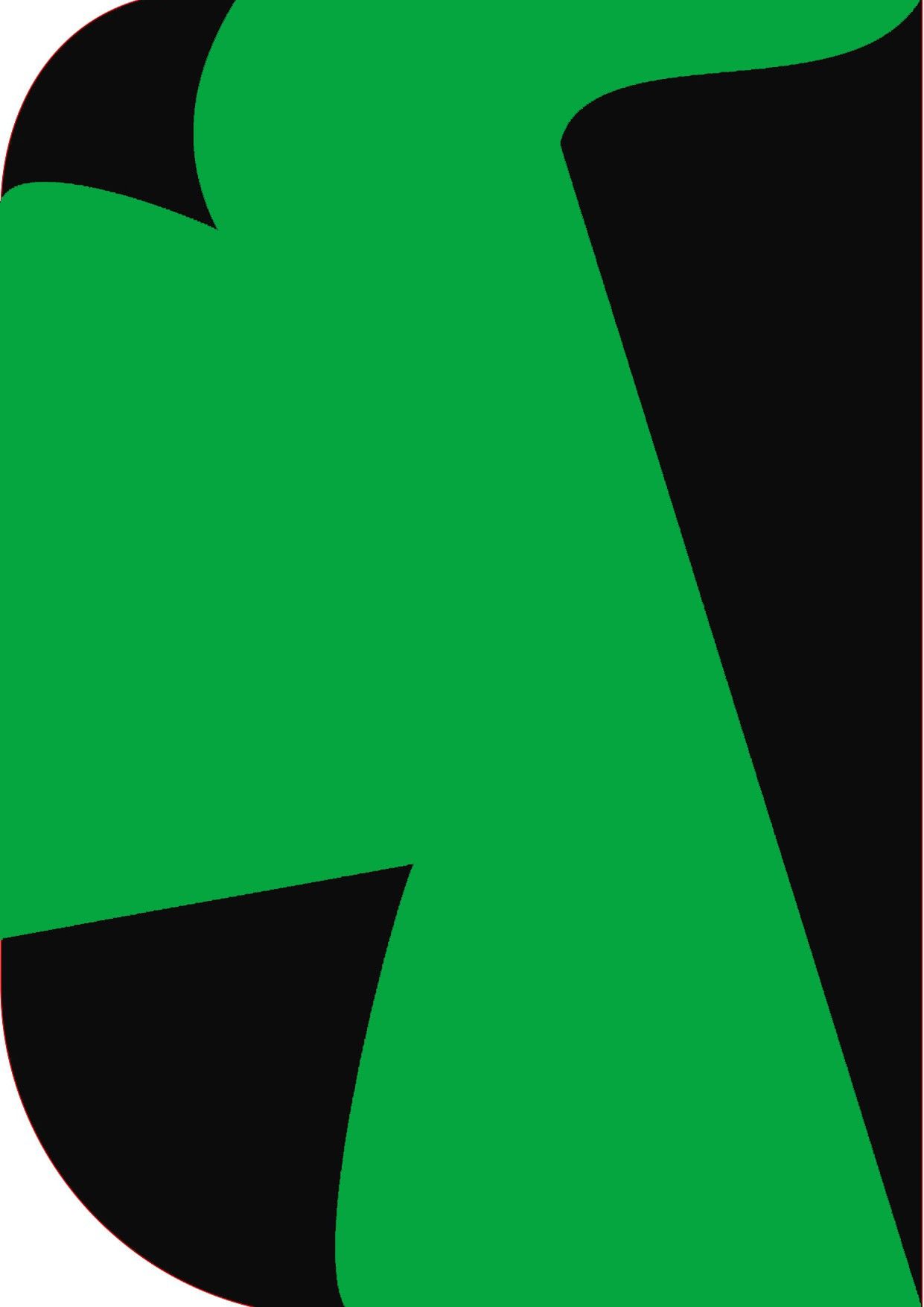Stookin 6ft X 9ft,2 In 1 Colors Single Photography Backdrop (Black & M Green 2 In 1 ) Reflector-picture-23