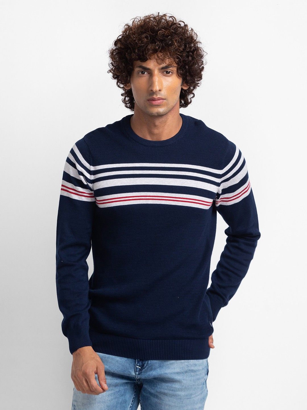 spykar Men Striped Round Neck Blue Sweater-picture-27