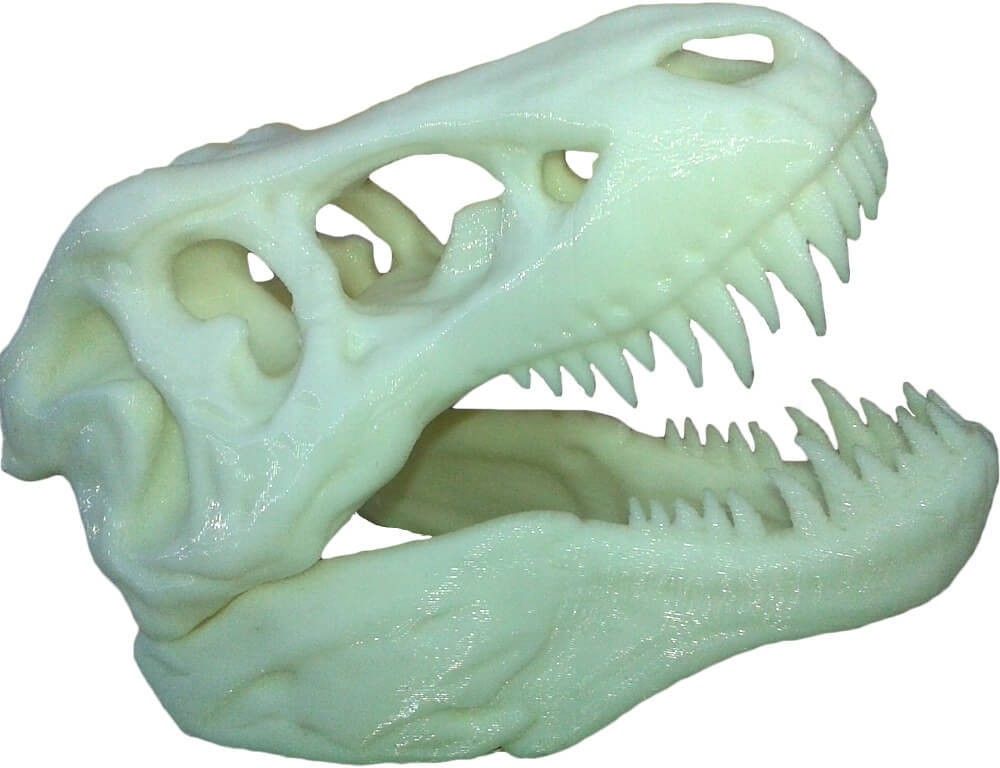 uneeke shape T-rex dinosaur skull realistic educational-picture-15