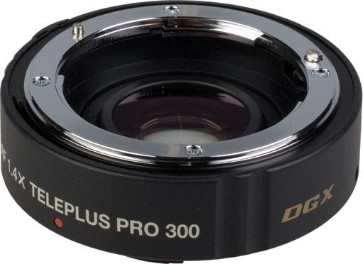 Kenko PRO 300 AF DGX 1.4X for Canon Standard Zoom Lens-image-42