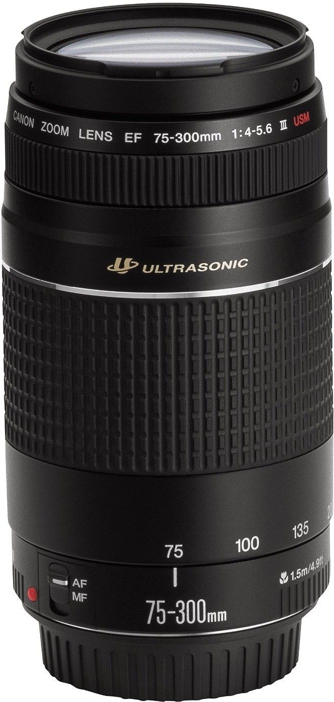 Canon EF 75 - 300 mm f/4-5.6 III Telephoto Zoom Lens-image-38