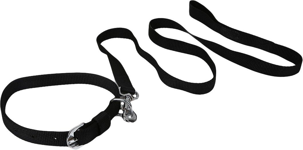 Regular Dog Everyday Collar-image-8