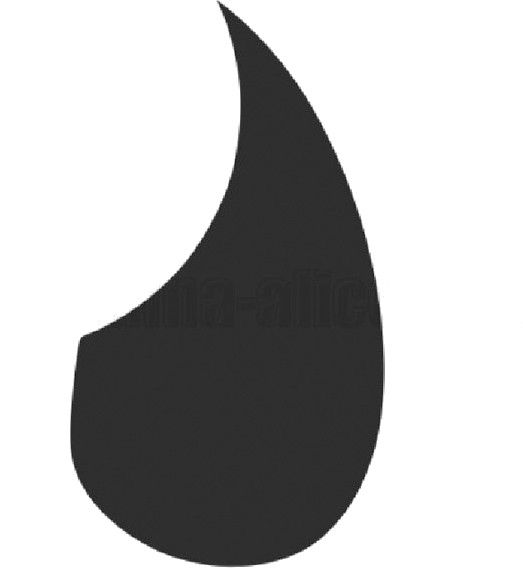 alice Pick Guard-picture-16