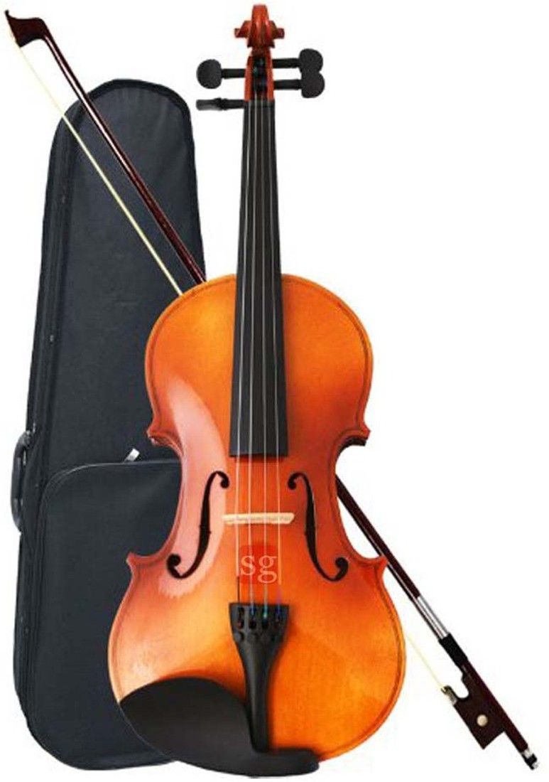 Viola-image-2
