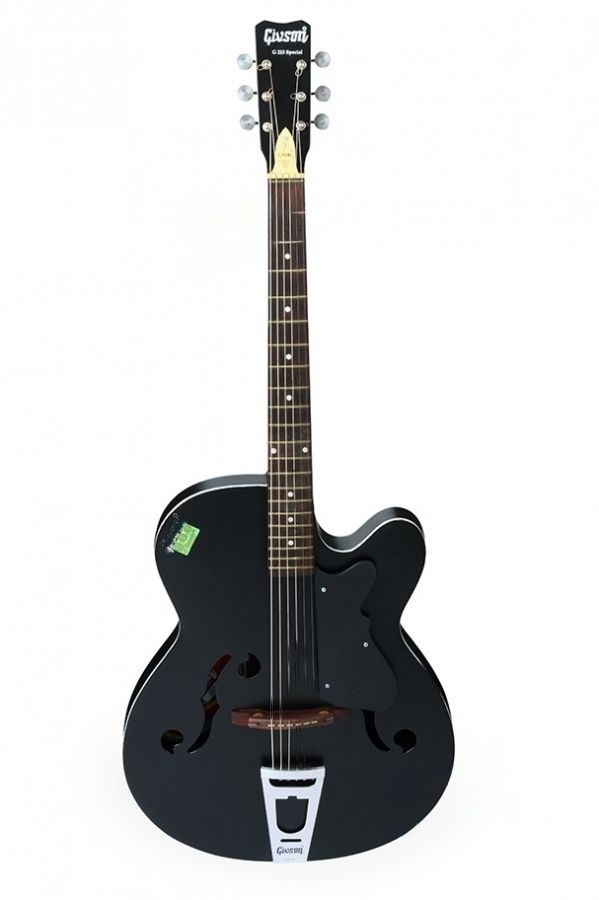 F-HOLE 215 SPECIAL Semi-acoustic Guitar Mahogany Rosewood Right Hand Orientation-image-10