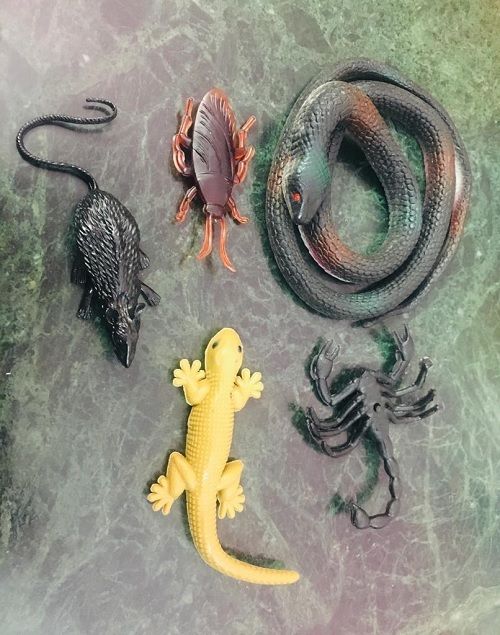 tik c SNAKE LIZARD RAT GANG COMBO PACK-picture-19