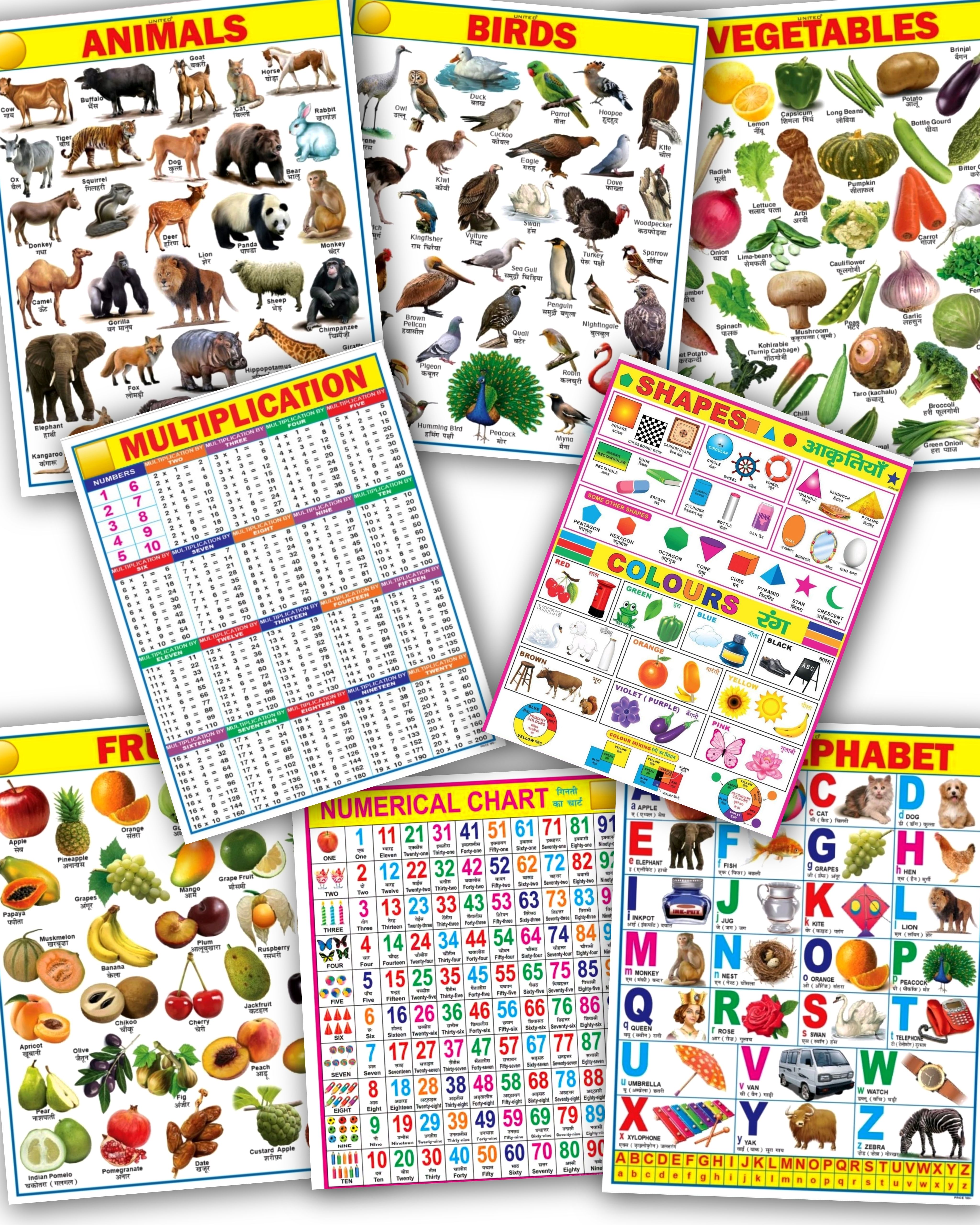 Educational Charts for Kids & Learn Wall Chart for Kids, Number, Alphabets, Animals, Fruits, Vegetable, Table & Color Shapes | Paper Print Fine Art Print-image-16