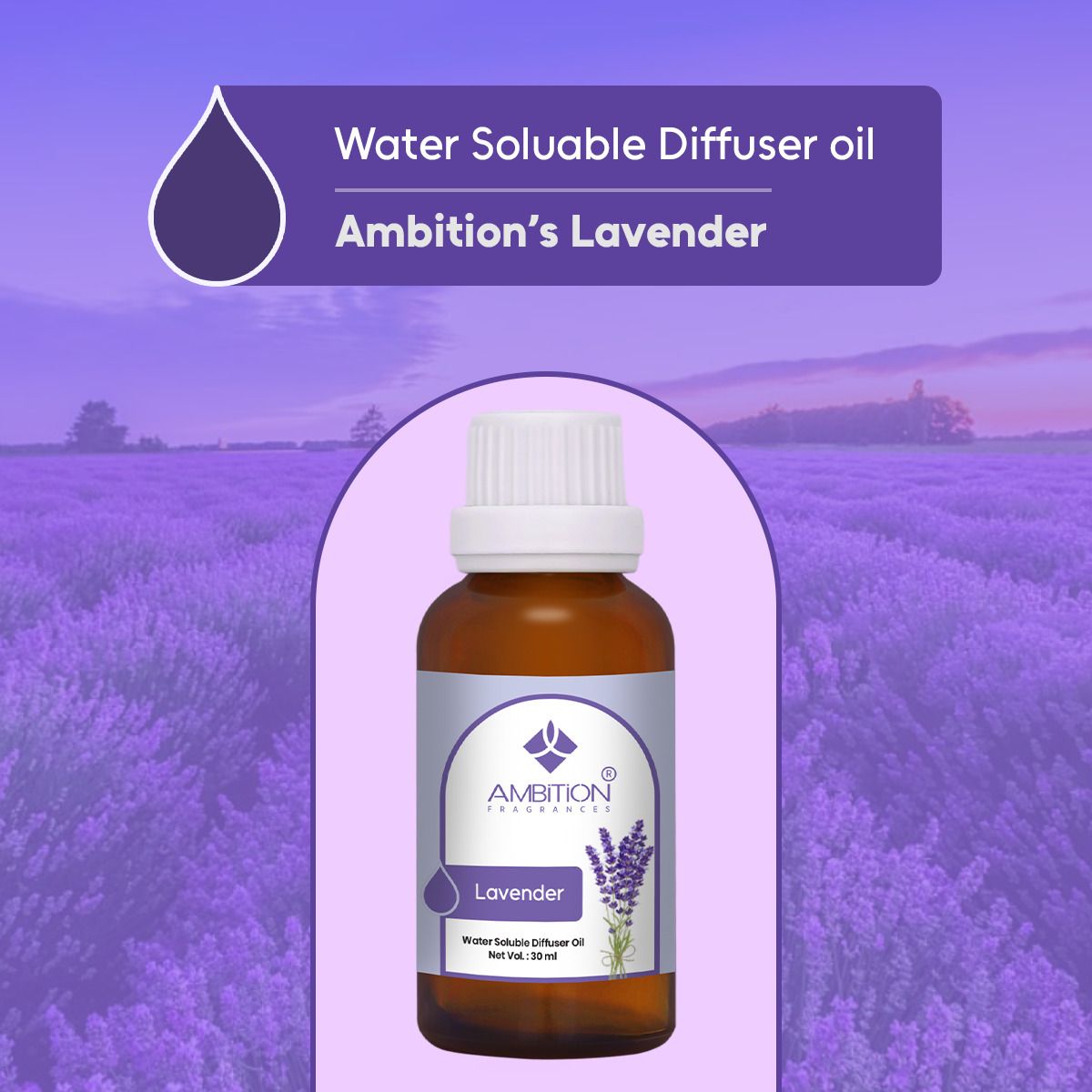 ambition Lavender Aroma Oil, Diffuser Water-Soluble Diffuser Oil – Long Lasting Aromatherapy Essential Oil Blend for Ultrasonic Humidifier Water Diffusers-picture-17