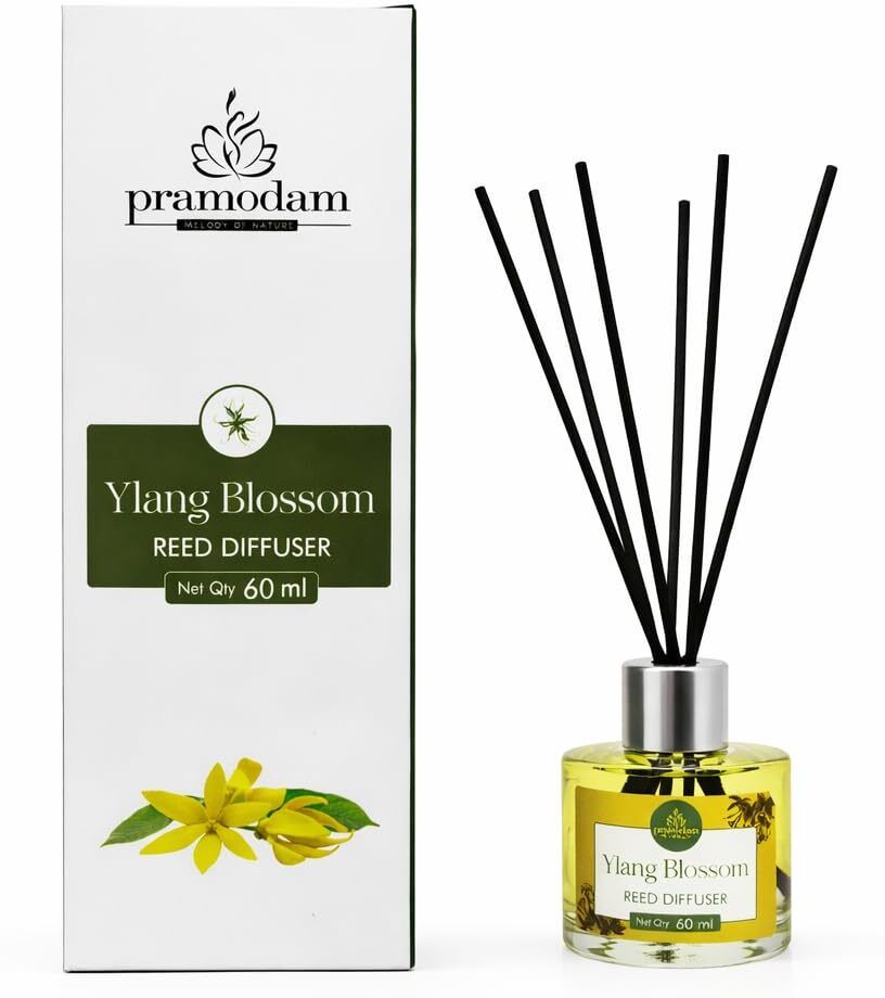 Ylang Blossom Diffuser Set Ylang Blossom Reed Diffuser Set 6 Fiber Sticks Long Lasting Fragrance | Gifting-image-31