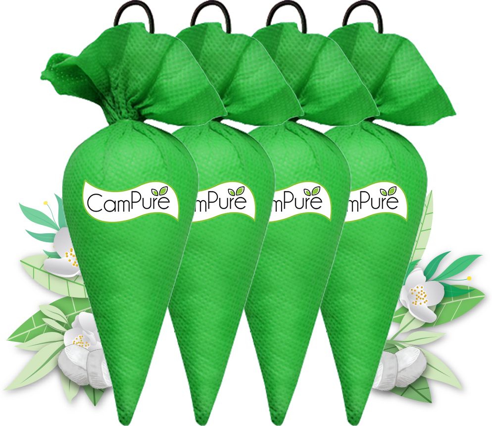 campure Cone Jasmine - Pack of 4 Potpourri-picture-24