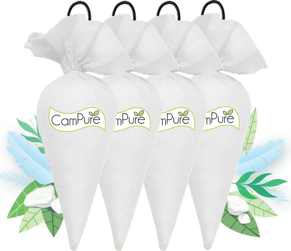 campure Cone Bhimseni - Pack of 4 Potpourri-picture-13