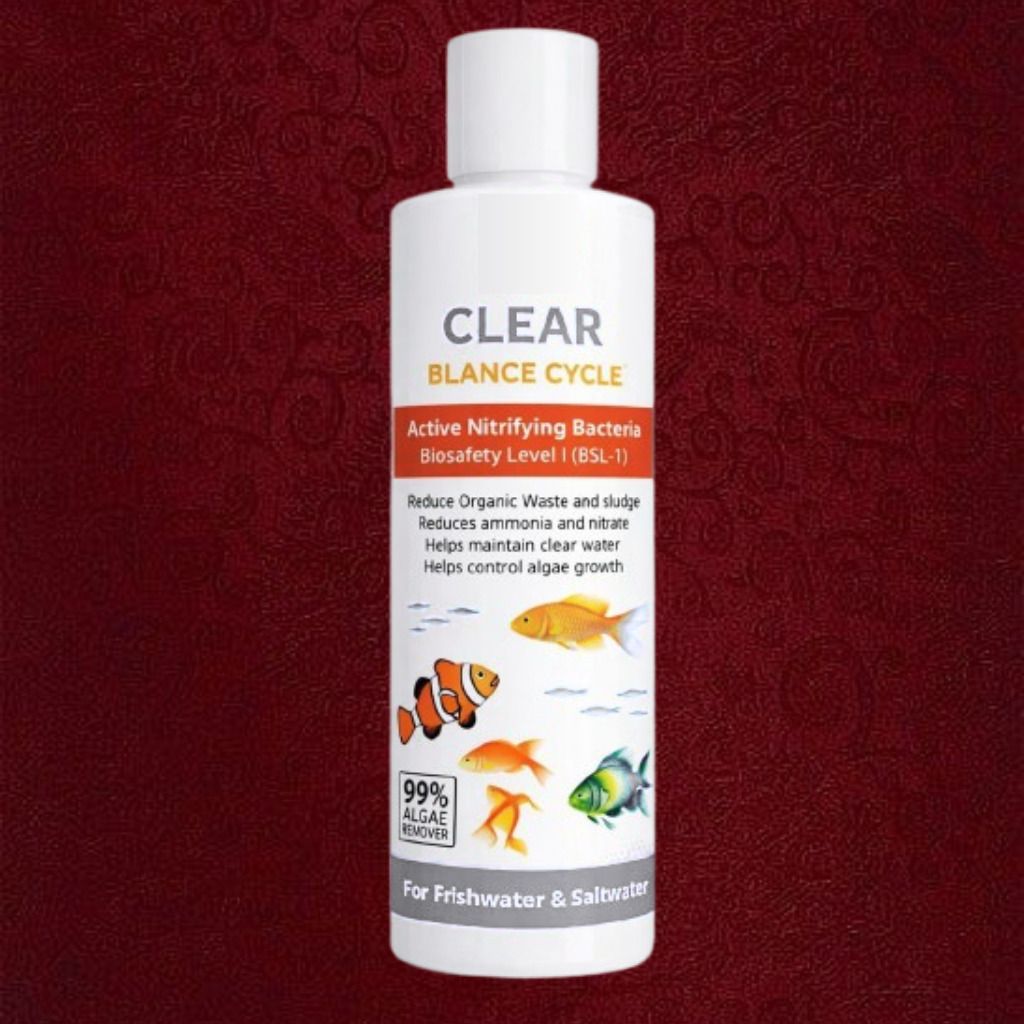Liquid Bio-Culture for Saltwater Tank Maintenance Solvent Aquarium Cleaner-image-25