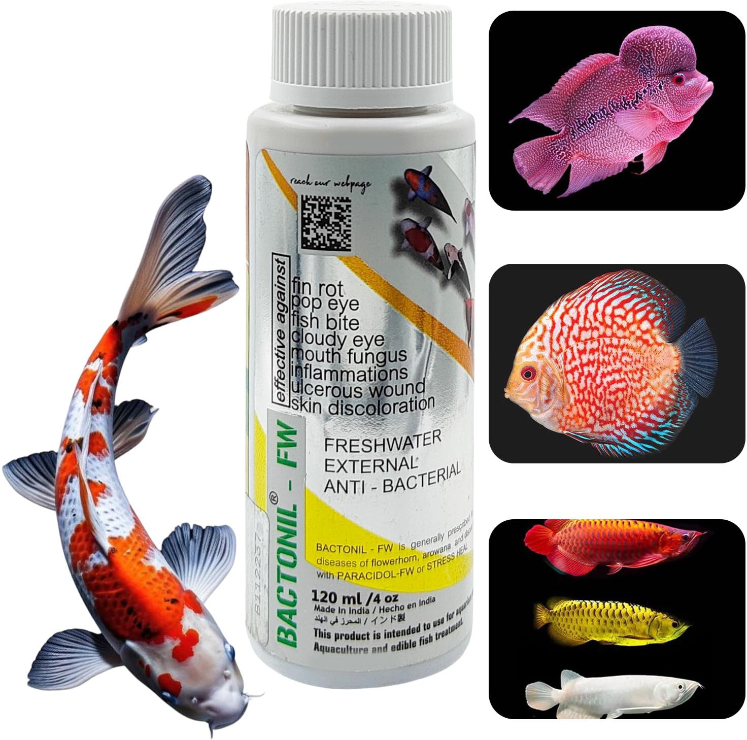 BACTONIL –FW Freshwater Anti-Bacterial Solution for Aquarium Fish Solvent Aquarium Cleaner-image-18