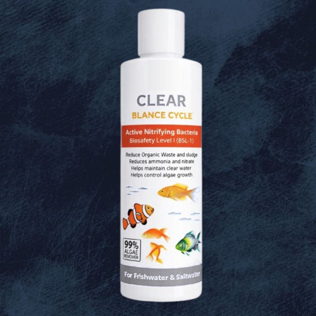 Biological Water Purifier for Decorative Fish Tanks Solvent Aquarium Cleaner-image-43