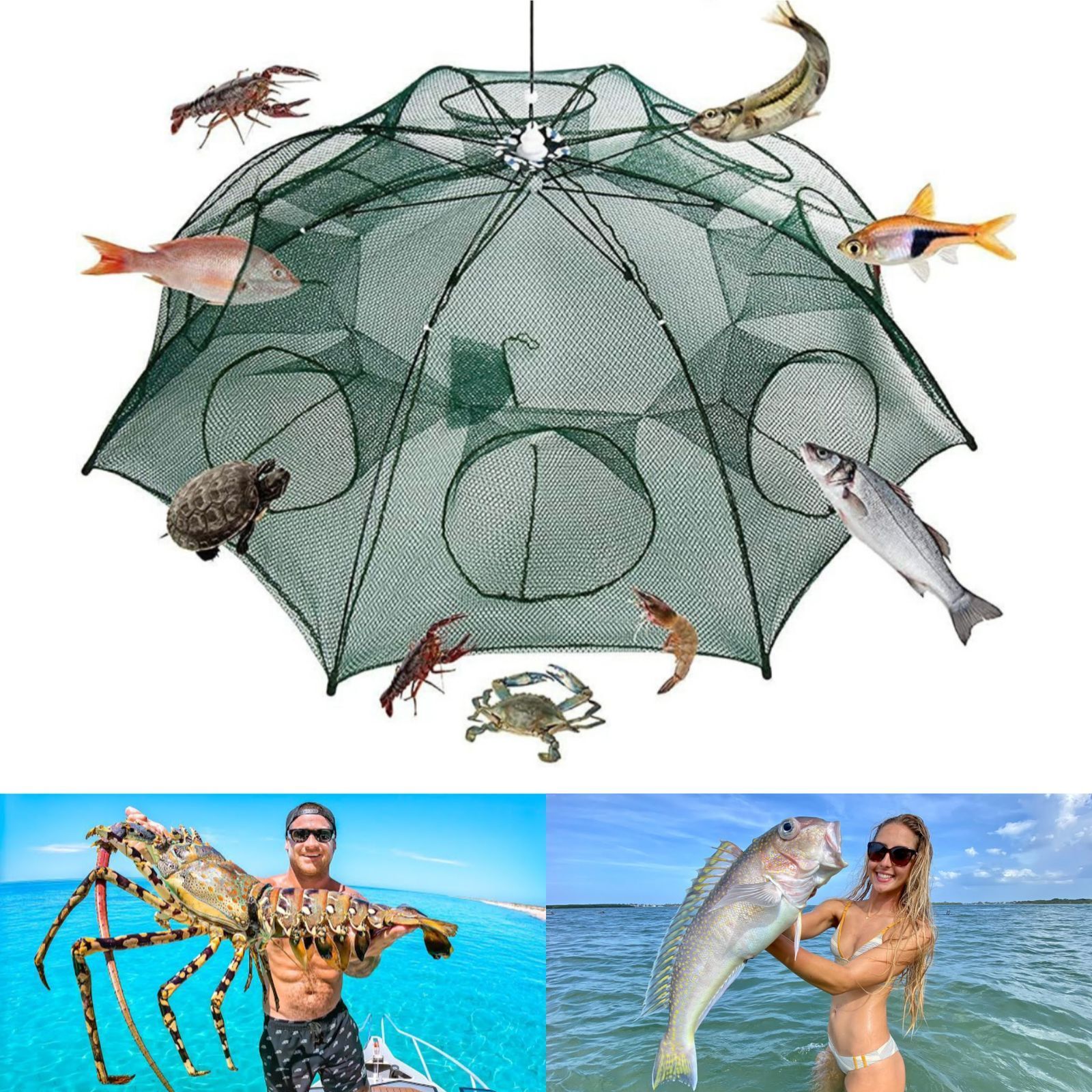 Umbrella Crab Fishing Net 8 Pocket 6mm Mesh Foldable Trap for Fish Crab & Shrimp Fishing Net-image-42