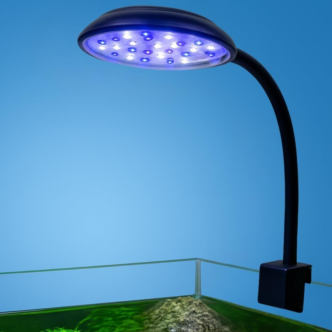 White, Blue LED Aquarium Light-image-20