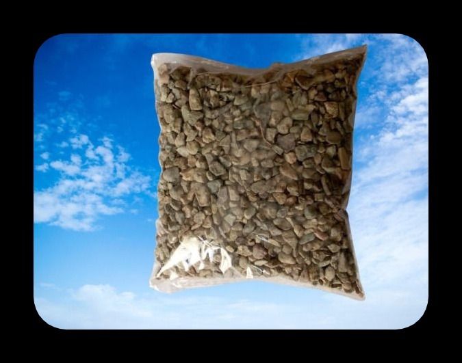 green plant indoor Gravelaq1007 River Rock Planted Substrate-picture-19