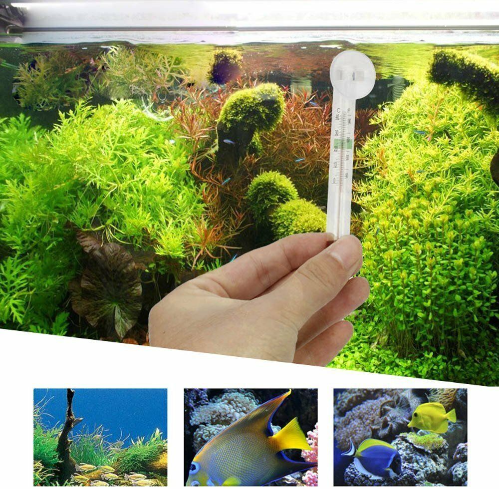 Glass Submersible Thermometer with Suction Cup for Fish Tank & Aquarium Aquarium Thermometer-image-26