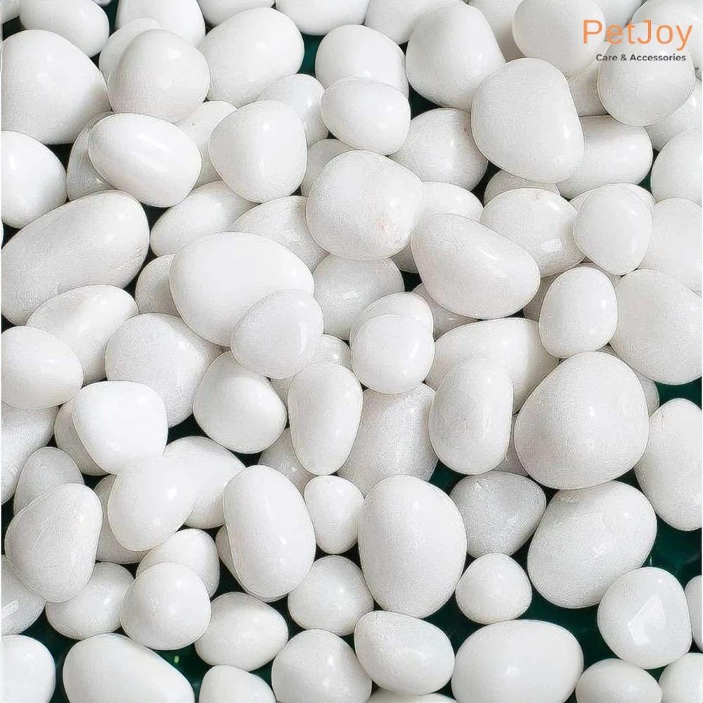 petjoy White Pebbles- 2Kg (2.5cm - 4cm) |Aquarium Fish Tank |Unplanted Substrate Gravel Unplanted Substrate-picture-33
