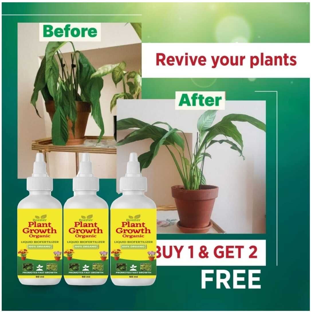 green bliss Plant growth Plants Aquatic Plant Fertilizer Aquatic Plant Fertilizer-picture-23
