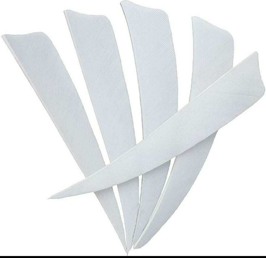 12 PCS 4 INCHES ARCHERY ARROW FEATHERS FLETCHING Arrow