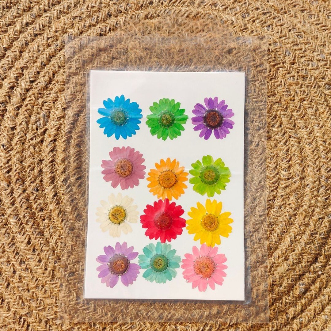 mangla craftify 12 Piece Pressed Multicolor Daisy Artificial Flower-picture-12