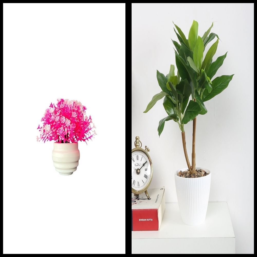nexat Artificial Plant with Pot for Decoration of LivingRoom, Showcase or Office Table Bonsai Wild Artificial Plant with Pot-picture-7