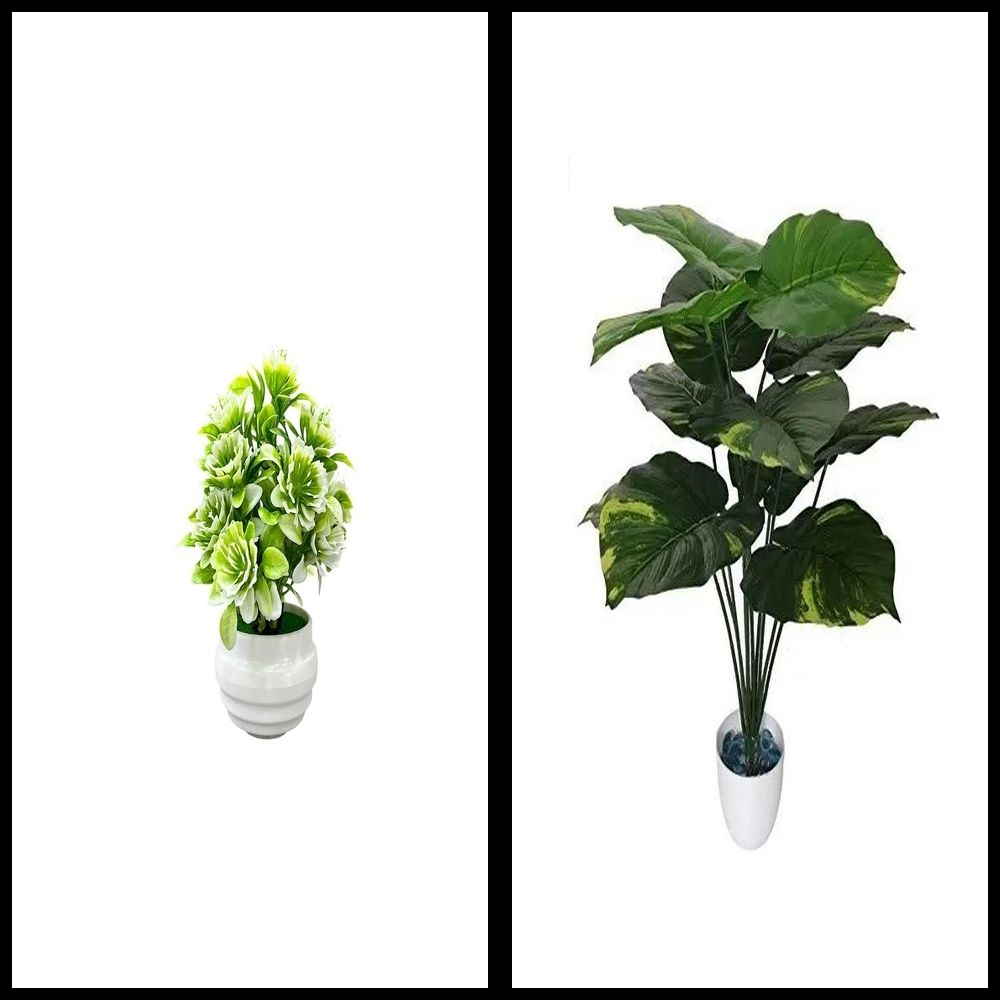 nexat Artificial Plant with Pot for Decoration of LivingRoom, Showcase or Office Table Bonsai Wild Artificial Plant with Pot-picture-28