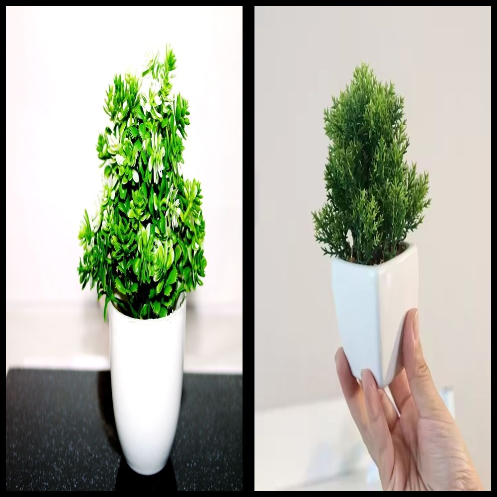 nexat Artificial Plant with Pot for Decoration of LivingRoom, Showcase or Office Table Bonsai Wild Artificial Plant with Pot-picture-15
