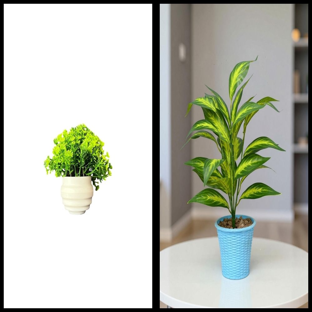 nexat Artificial Plant with Pot for Decoration of LivingRoom, Showcase or Office Table Bonsai Wild Artificial Plant with Pot-picture-38