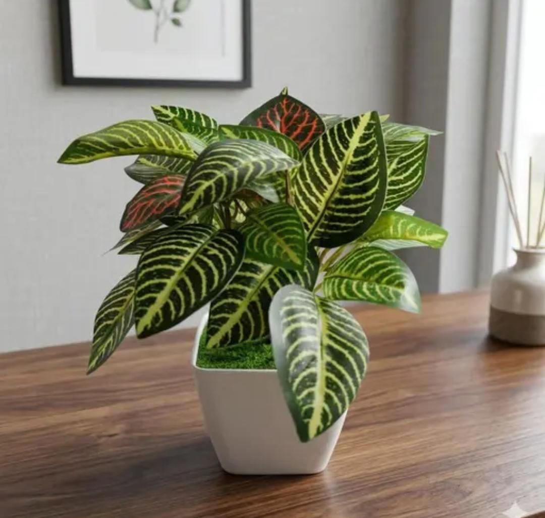 Artificial Zebra Plant | Home & Office Decor Bonsai Artificial Plant with Pot-image-39
