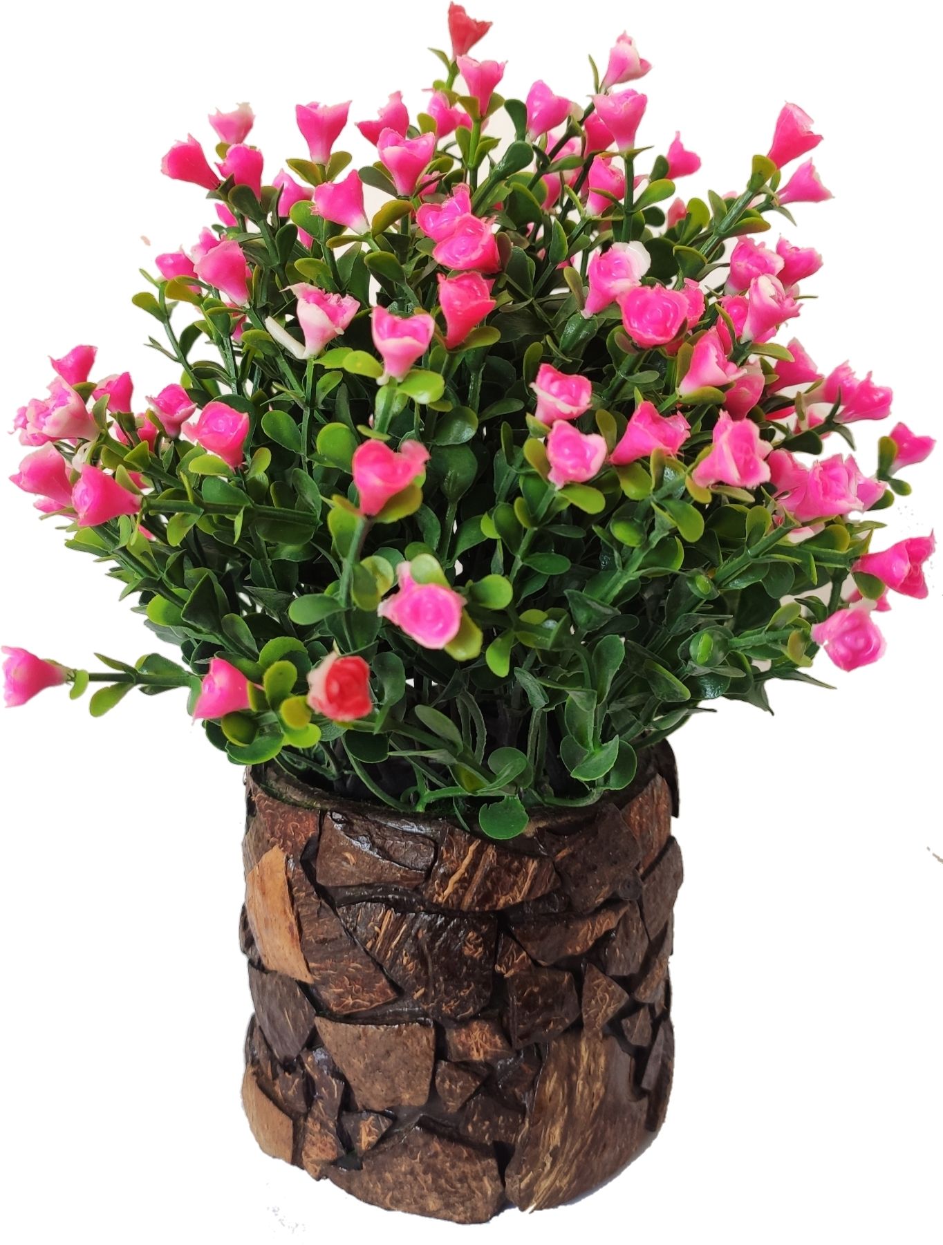 baarig Small Pink Rose With Stylish Coconut Pot Wild Artificial Plant with Pot-picture-27