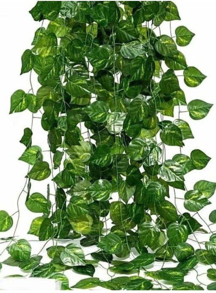 siddhivinayak Artificial Money Plant Leaves Greenery Creeper (Pack of 4) (8ft each) Artificial Plant-picture-28