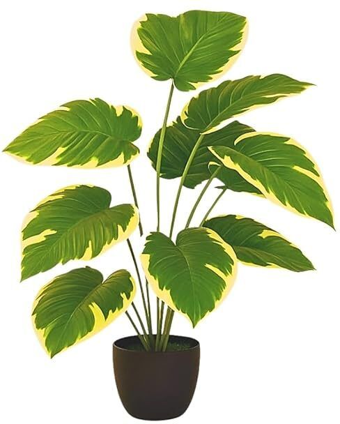 Artificial Dieffenbachia, Alocasia Elephant Ear Home, Office & Outdoor Decor Artificial Plant with Pot-image-17
