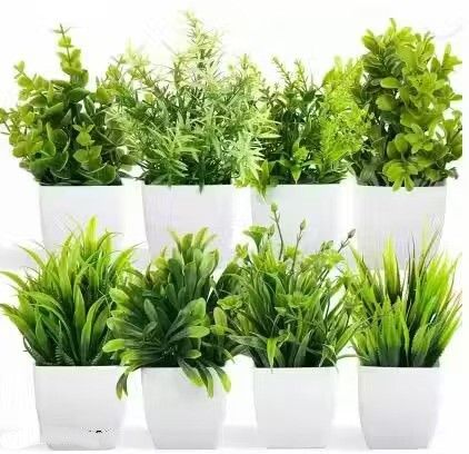 Home & Office Décor Artificial Plant Bonsai Wild Artificial Plant with Pot-image-0