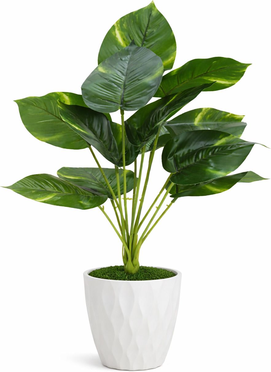 Artificial Money Plant 18 Leaves Green with 6 Inch White Pot Artificial Plant with Pot-image-43