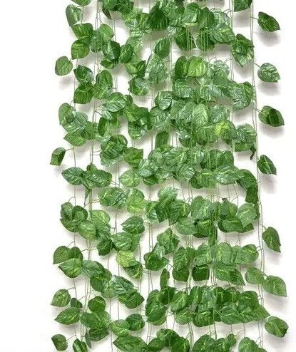 Artificial Money Plant 3 Artificial Money Plant Artificial Plant-image-35