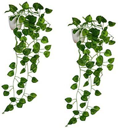 Home Decor Real Touch Vine Plant Falling with Pot Small Size Wild Artificial Plant with Pot-image-12